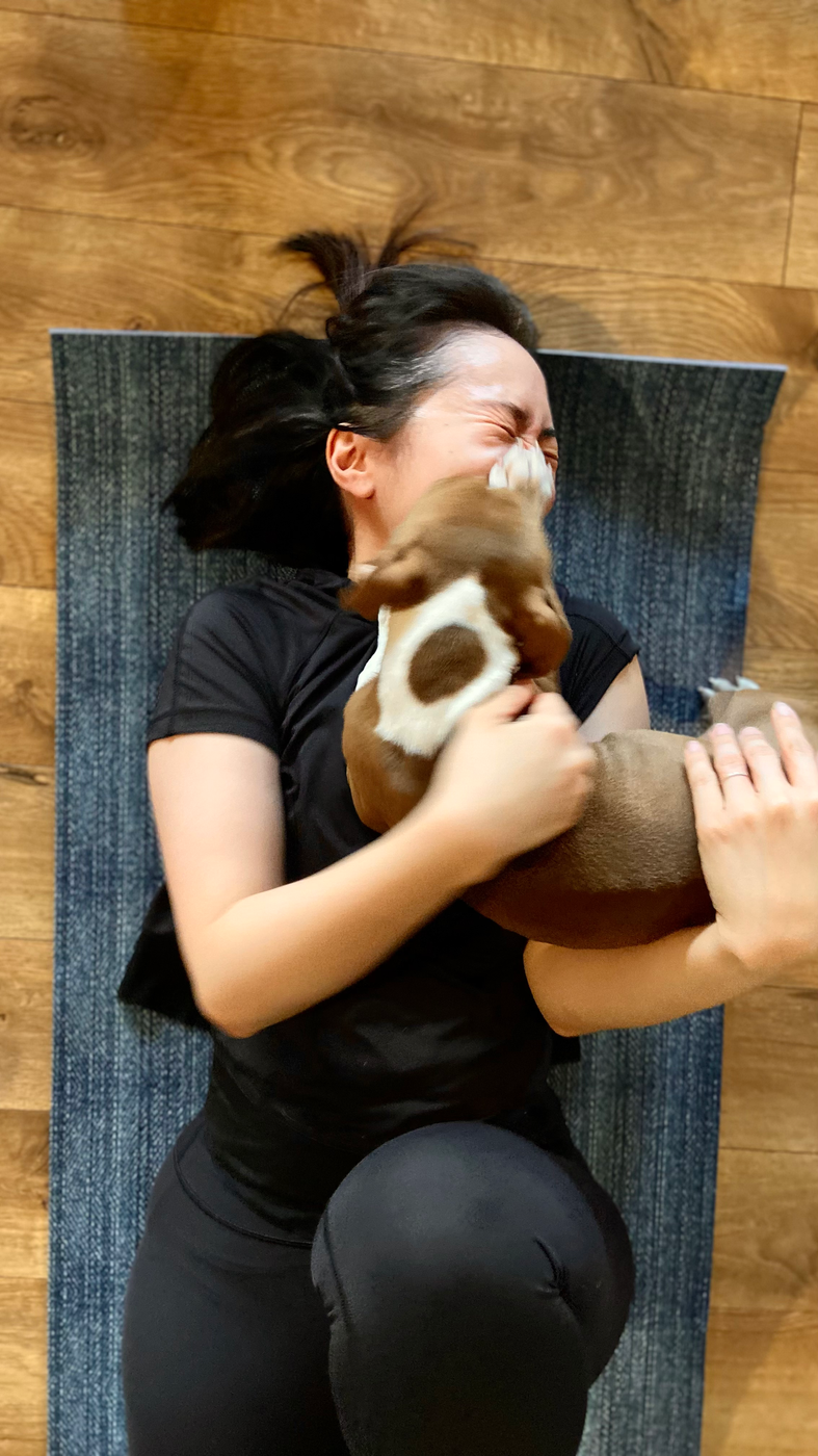 Puppies join clients on the mat at the Puppies & Pilates charity event